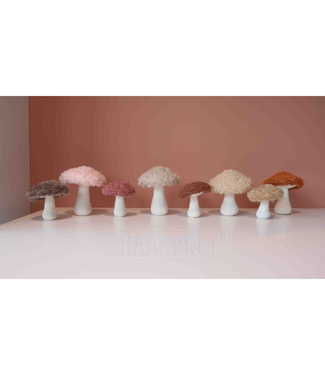 Haakpret Bont Paddestoelen - A5  werkbeschrijving - Anja Toonen