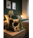 Haakpret Lampe de table Dinosaure - A5 (Néerlandais)   - Anja Toonen