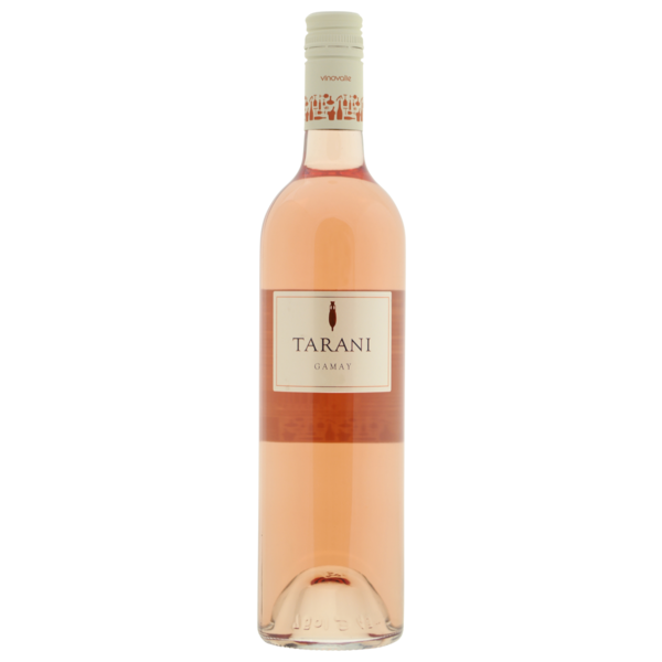 Tarani Gamay rose