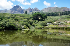 Stellenbosch