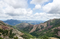 Languedoc-Roussillon