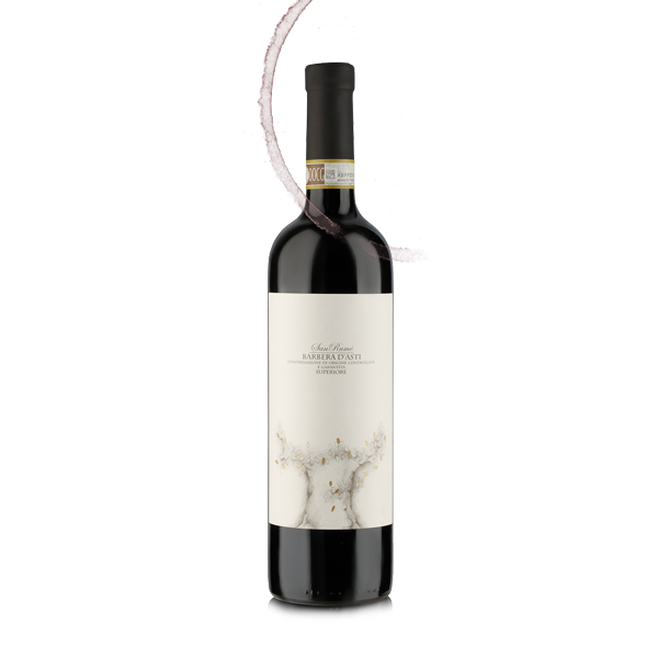 Vincenzo Bossotti Barbera D'Asti