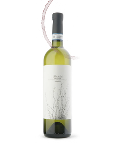  Vincenzo Bossotti Terra Alfieri Arneis