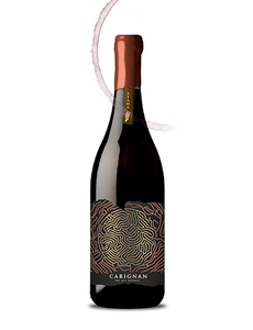  Ayama Carignan Fermented In Music