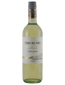  Terre del Noce Pinot Grigio