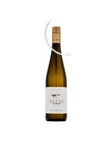  Sauvignon Blanc Weinviertel | Weingut Beyer