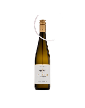  Sauvignon Blanc Weinviertel | Weingut Beyer