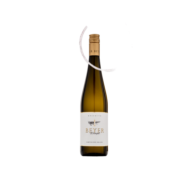 Sauvignon Blanc Weinviertel | Weingut Beyer