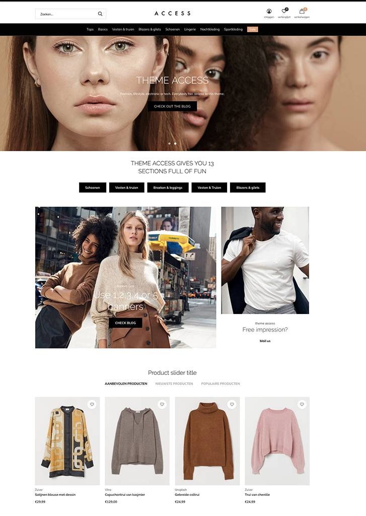 Access Lightspeed Themestore