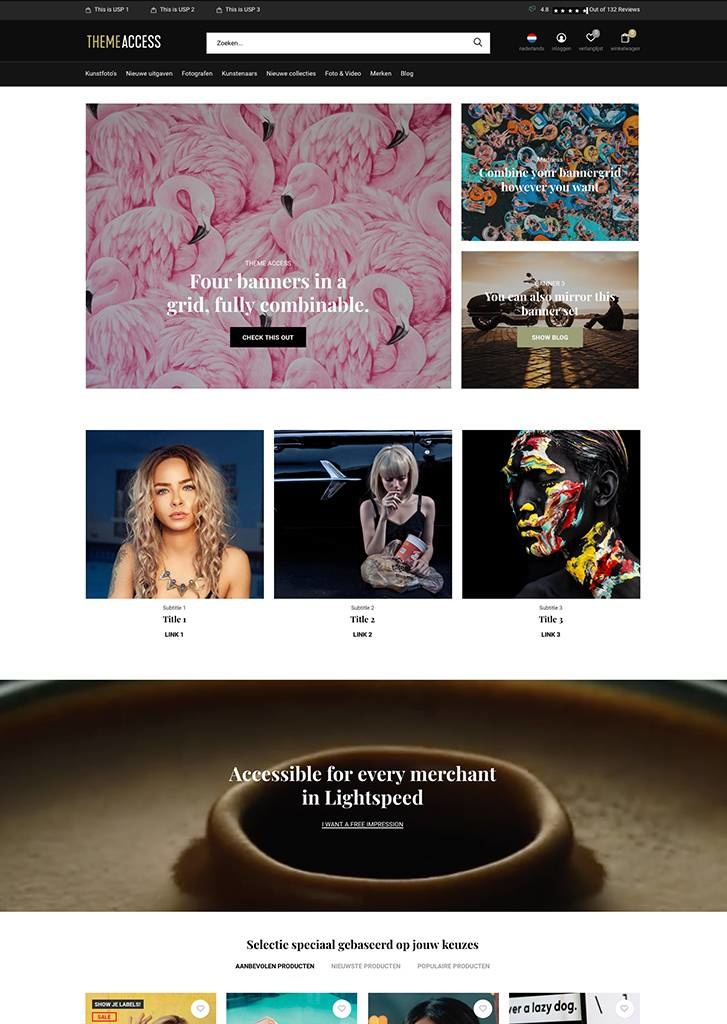 Access Lightspeed Themestore