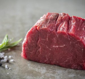 HOLSTEIN FILET PUR