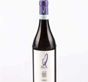 Barbera d'Alba Superiore "Vigna Gallina"
