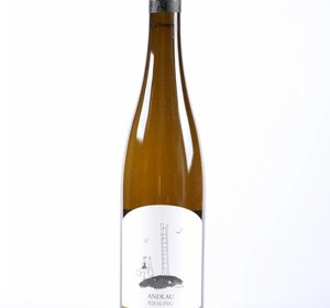 Riesling "Andlau"  **BIO