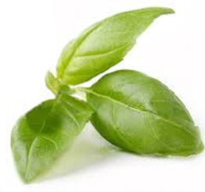 Basilicum 75gr
