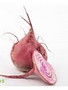 Bieten chioggia pr schaal 1 kg