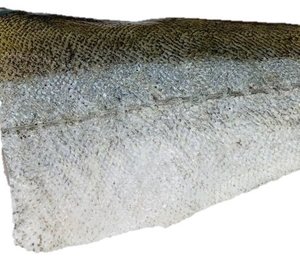 Vlaswijting filet met vel