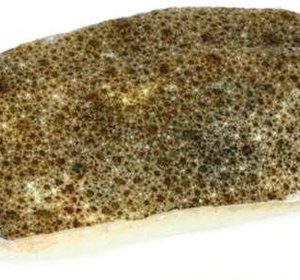 Tarbot filet met vel 400 gr