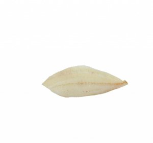 Griet filet zonder vel 360 gr