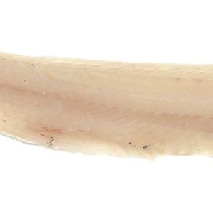 Wijting filet zonder vel 150 gr