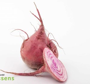 Chioggia biet carpaccio  1 kg