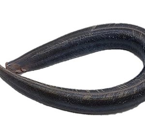 Gestroopte verse paling 230 gr