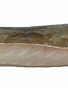 Lenghaas met vel