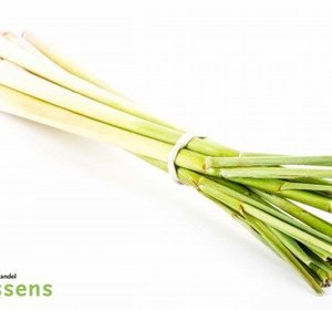 Citroengras pr bussel cat1