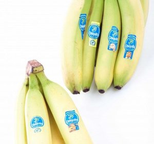 Bananen chiquita cat1