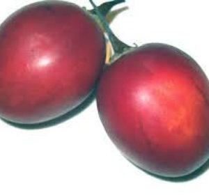 Tamarillo rood pr st