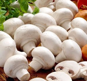 Champignons wit klein (250gr)