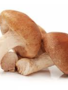 Champignons shi-take per schaal (500gr)