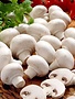 Champ wit middel (500gr)