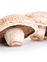 Champignons portabella