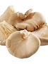Champignons oesterzwam +/- 250gr