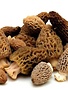 Champignons morillen vers 100gr
