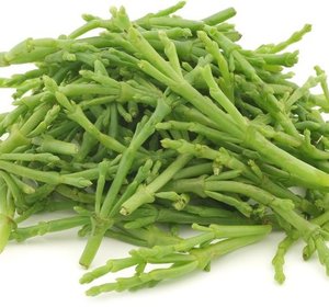 Zeekraal 200gr
