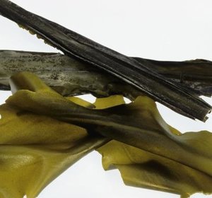 Kombu pr 100gr