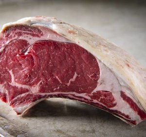 Chianina