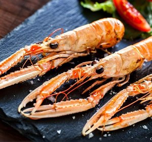Langoustine