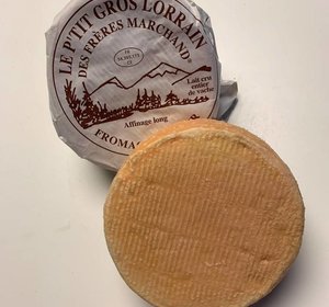 Roodflora