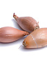 Ajuin sjalot rood (500gr)