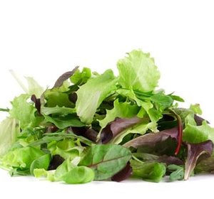 Gewassen salades