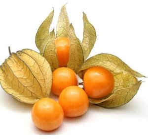 Physalis potje 100gr