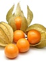 Physalis potje 100gr