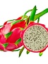 Pitahaya Rood