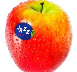 Appel Jazz