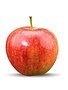 Appel Jonagold