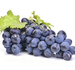 Druif blauw seedles