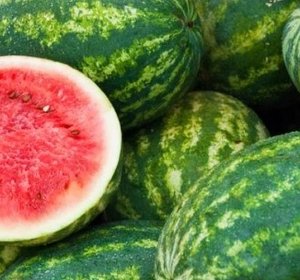 Watermeloen groot