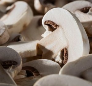 Blonde champignon schijf 4mm